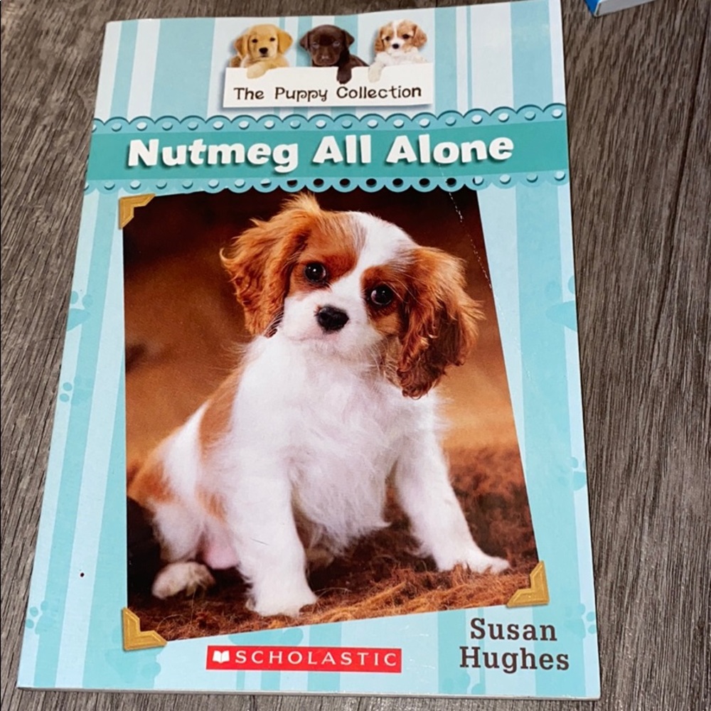 7 Chapter Books - Picture 2 of 8
